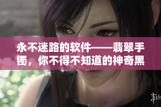 永不迷路的软件——翡翠手镯，你不得不知道的神奇黑科技