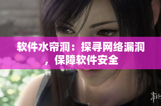 软件水帘洞：探寻网络漏洞，保障软件安全