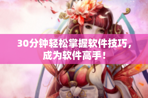 30分钟轻松掌握软件技巧，成为软件高手！