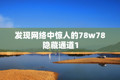 发现网络中惊人的78w78隐藏通道1