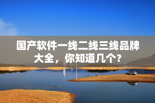 国产软件一线二线三线品牌大全，你知道几个？