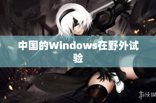 中国的Windows在野外试验