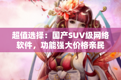 超值选择：国产SUV级网络软件，功能强大价格亲民
