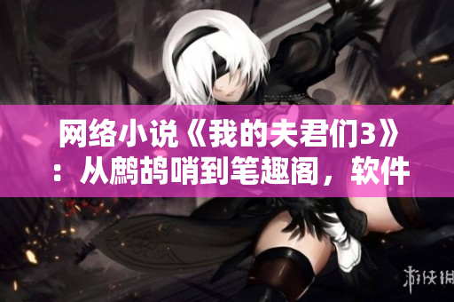 网络小说《我的夫君们3》：从鹧鸪哨到笔趣阁，软件背后的奇妙变化