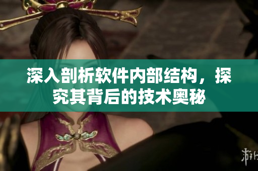 深入剖析软件内部结构，探究其背后的技术奥秘