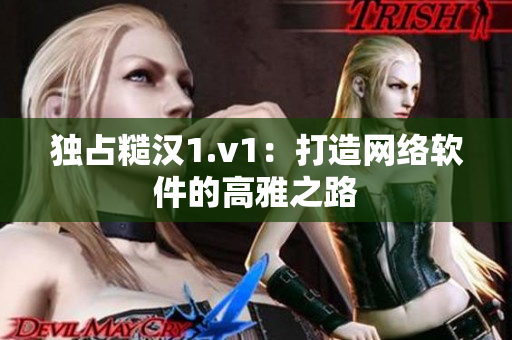 独占糙汉1.v1：打造网络软件的高雅之路