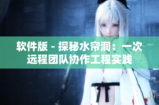 软件版 - 探秘水帘洞：一次远程团队协作工程实践