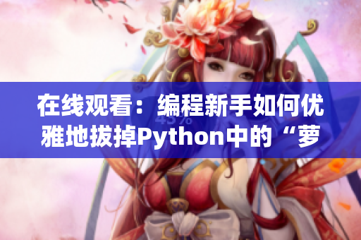 在线观看：编程新手如何优雅地拔掉Python中的“萝卜”
