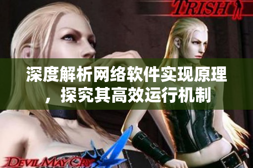 深度解析网络软件实现原理，探究其高效运行机制