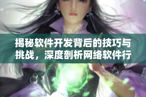 揭秘软件开发背后的技巧与挑战，深度剖析网络软件行业发展趋势