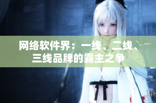 网络软件界：一线、二线、三线品牌的霸主之争