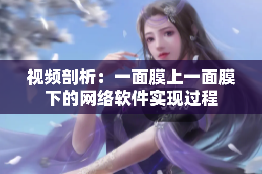 视频剖析：一面膜上一面膜下的网络软件实现过程