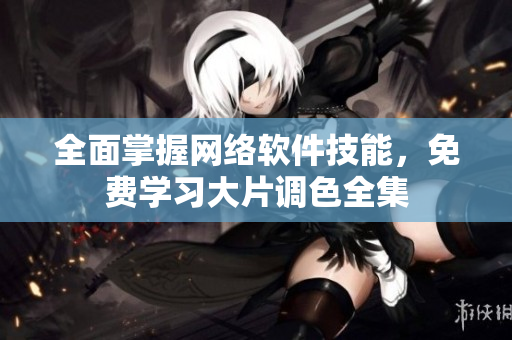 全面掌握网络软件技能，免费学习大片调色全集