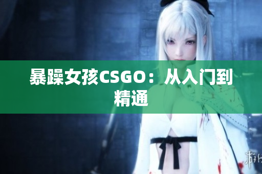 暴躁女孩CSGO：从入门到精通