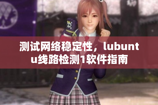 测试网络稳定性，lubuntu线路检测1软件指南