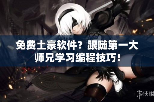 免费土豪软件？跟随第一大师兄学习编程技巧！