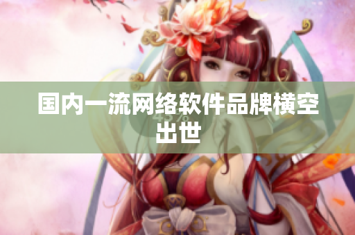国内一流网络软件品牌横空出世