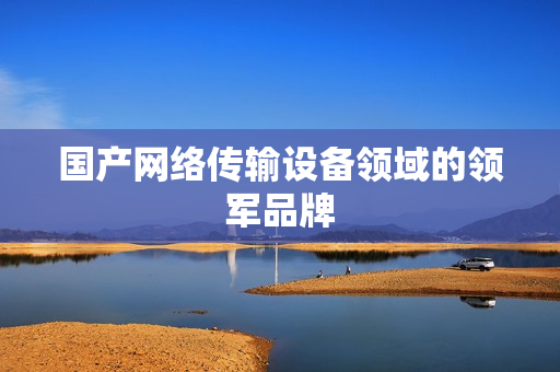 国产网络传输设备领域的领军品牌