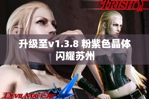 升级至v1.3.8 粉紫色晶体闪耀苏州