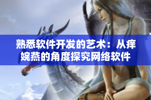 熟悉软件开发的艺术：从痒婉燕的角度探究网络软件