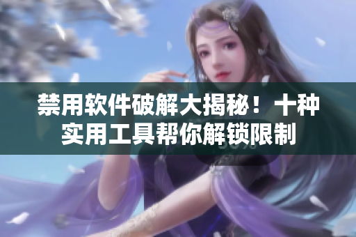 禁用软件破解大揭秘！十种实用工具帮你解锁限制