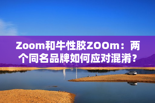 Zoom和牛性胶ZOOm：两个同名品牌如何应对混淆？