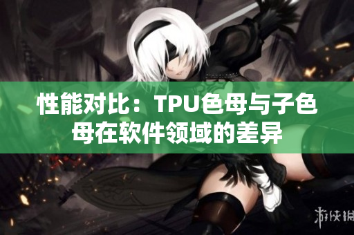 性能对比：TPU色母与子色母在软件领域的差异
