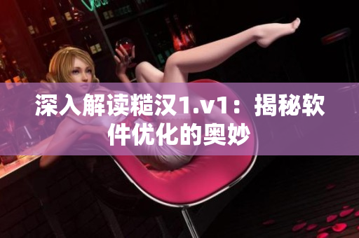 深入解读糙汉1.v1：揭秘软件优化的奥妙