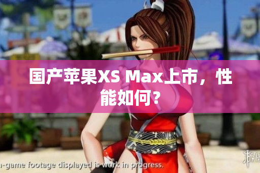 国产苹果XS Max上市，性能如何？