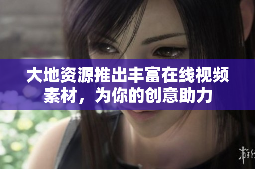 大地资源推出丰富在线视频素材，为你的创意助力