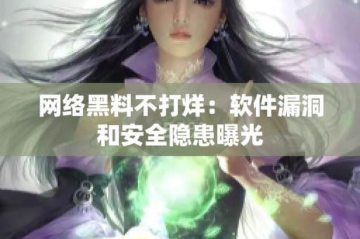 网络黑料不打烊：软件漏洞和安全隐患曝光