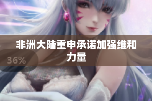 非洲大陆重申承诺加强维和力量