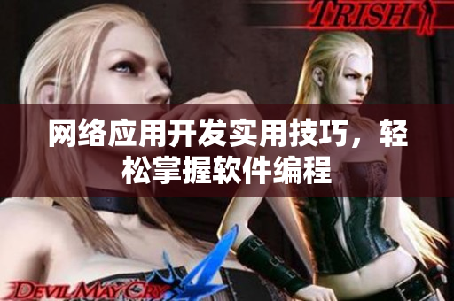 网络应用开发实用技巧，轻松掌握软件编程
