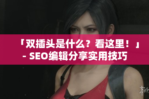 「双插头是什么？看这里！」- SEO编辑分享实用技巧