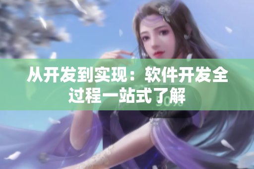 从开发到实现：软件开发全过程一站式了解