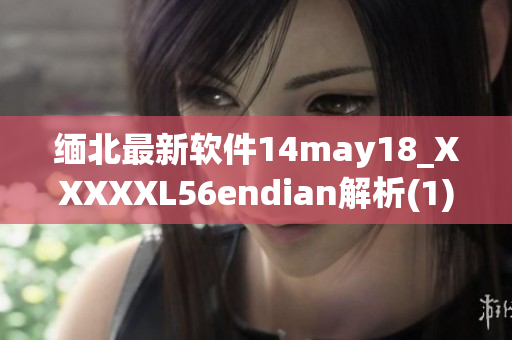 缅北最新软件14may18_XXXXXL56endian解析(1)