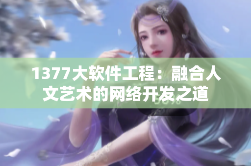 1377大软件工程：融合人文艺术的网络开发之道