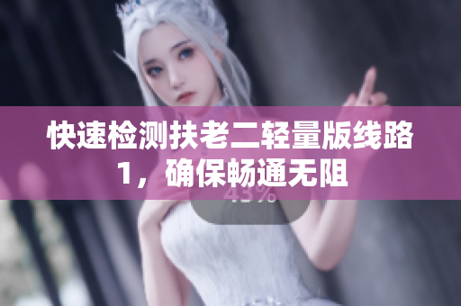 快速检测扶老二轻量版线路1，确保畅通无阻