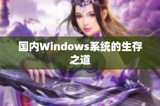 国内Windows系统的生存之道