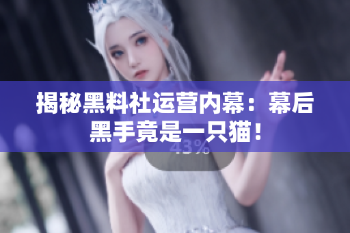 揭秘黑料社运营内幕：幕后黑手竟是一只猫！