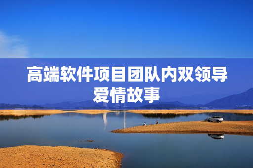 高端软件项目团队内双领导爱情故事
