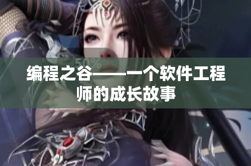 编程之谷——一个软件工程师的成长故事
