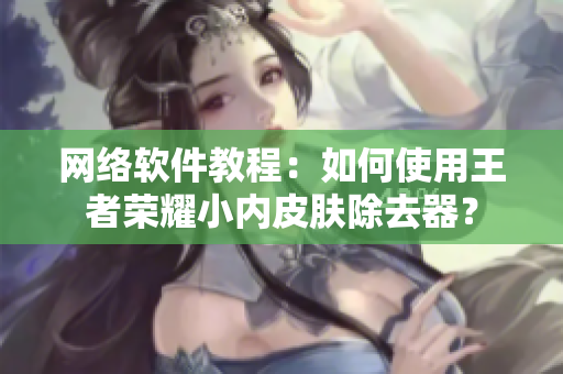 网络软件教程：如何使用王者荣耀小内皮肤除去器？
