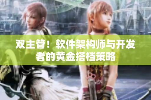 双主管！软件架构师与开发者的黄金搭档策略