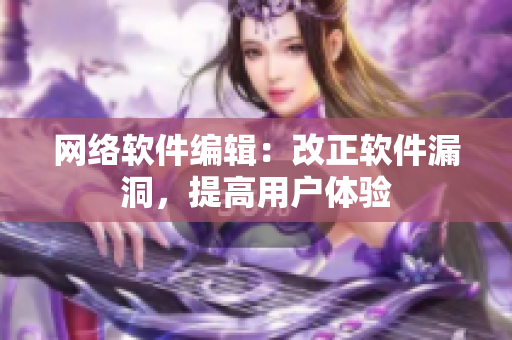 网络软件编辑：改正软件漏洞，提高用户体验