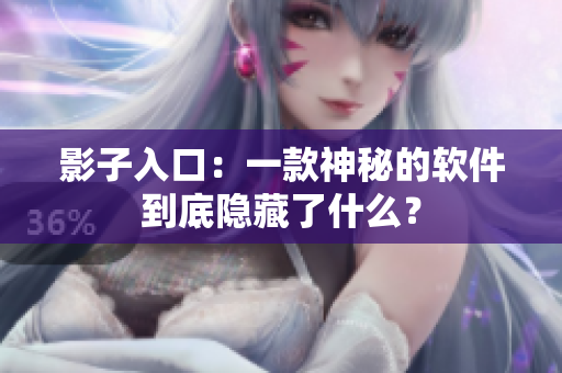 影子入口：一款神秘的软件到底隐藏了什么？