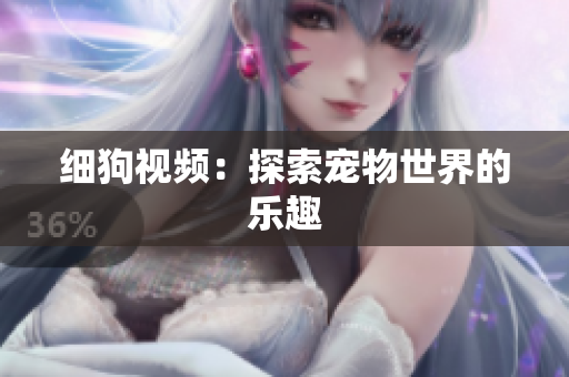 细狗视频：探索宠物世界的乐趣