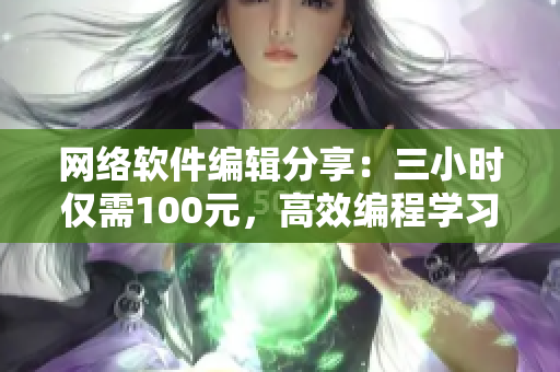 网络软件编辑分享：三小时仅需100元，高效编程学习实现