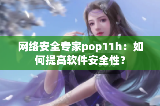 网络安全专家pop11h：如何提高软件安全性？