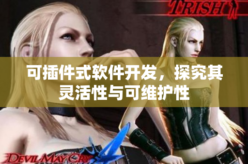 可插件式软件开发，探究其灵活性与可维护性